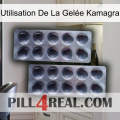 Utilisation De La Gelée Kamagra 31